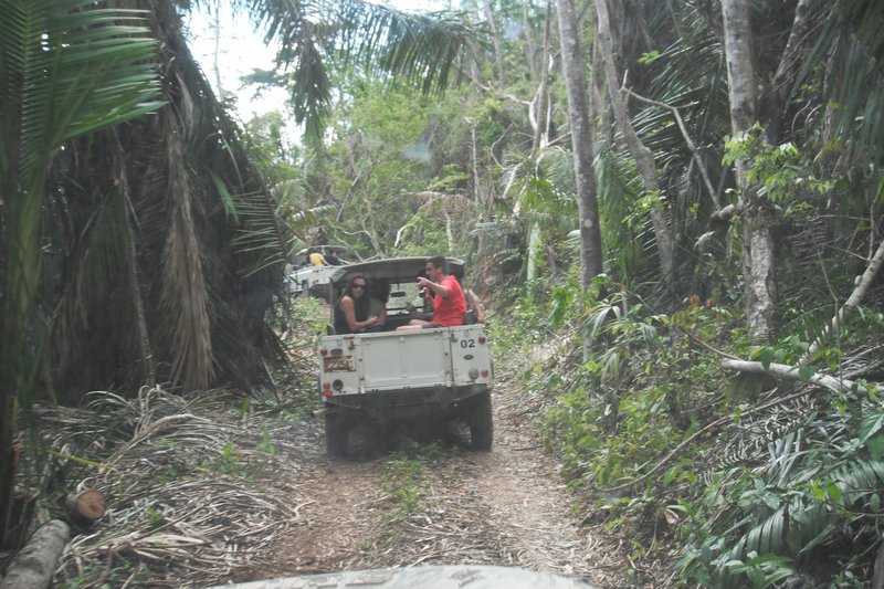 Jungle Offroading