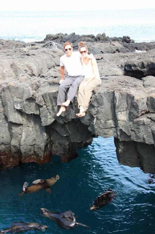 Sea lions in the lava pools