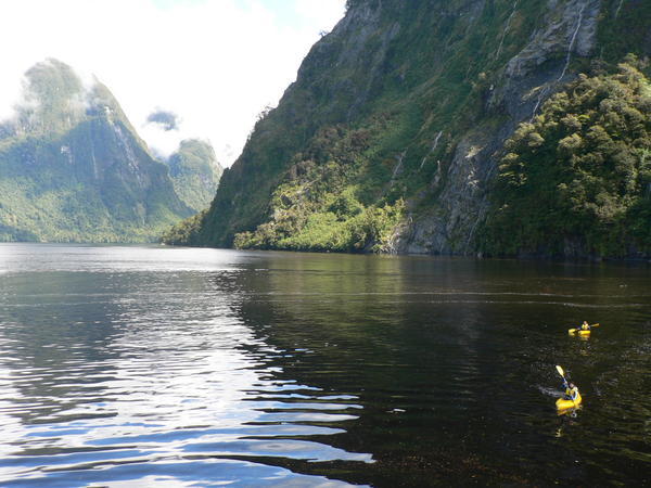 Kayaking: Doubtful Sound