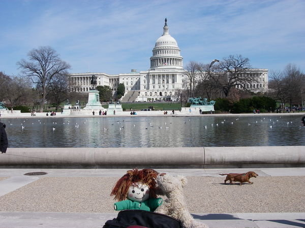 The US Capitol and two (!) dogs