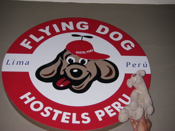 Hostel for happy dogs