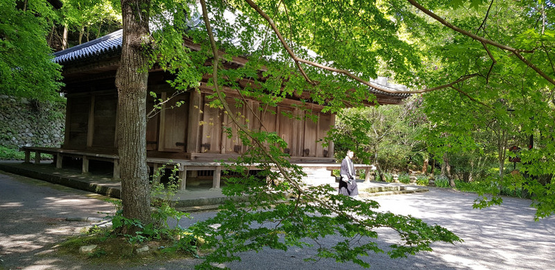 The monk at Futugi Temple