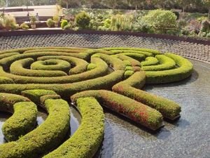 The spiral water garden