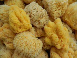Sponges for sale on Crete
