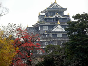 Okyama Castle