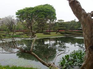 Lake view in the East Garden