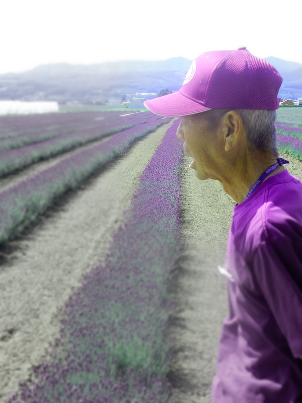 Purple guide in a purple field