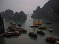 Boats moored in Halong Bay