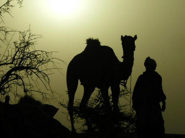 One of our guides leading one of our camels
