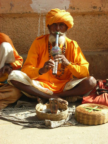 Snake charmer, Pushkar