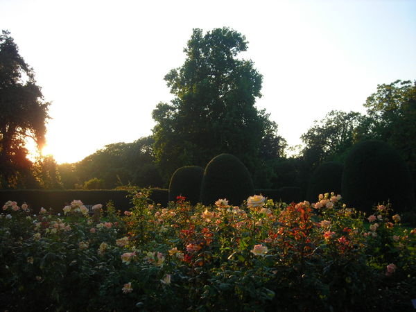 Soft light 2, Kew Gardens
