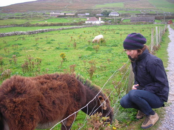 Sarah has found another fluffy donkey