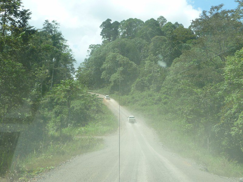 driving into the rainforest