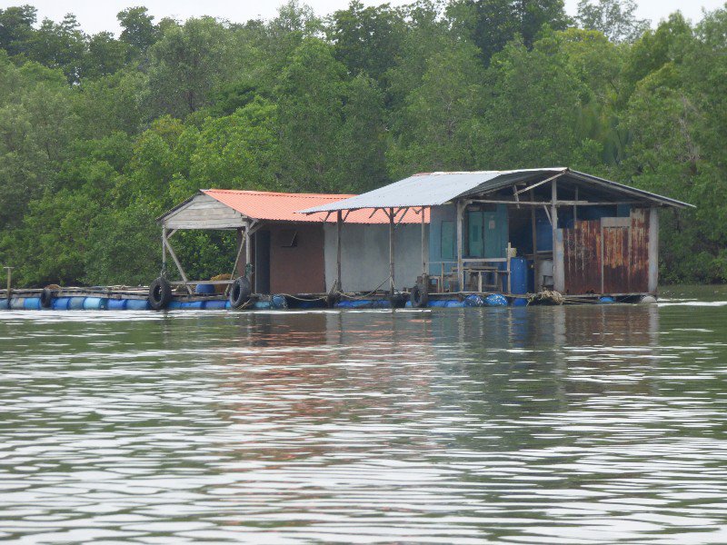 fish farm in the Santubong Estuary