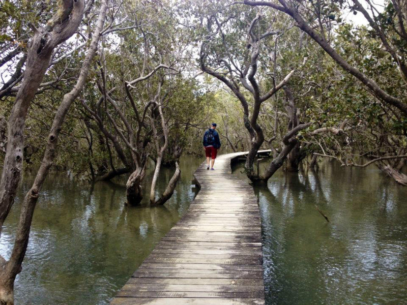 The Boardwalk at High Tide