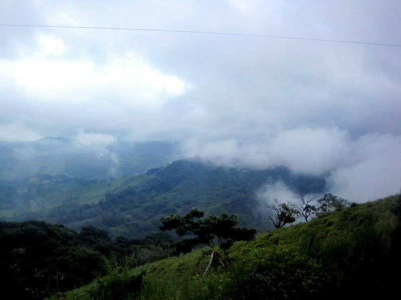Monteverde Cloud Forest