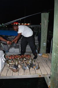 Voici une vrai pêche Bahamienne !