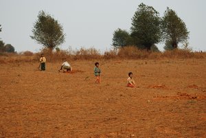 Enfants au champs