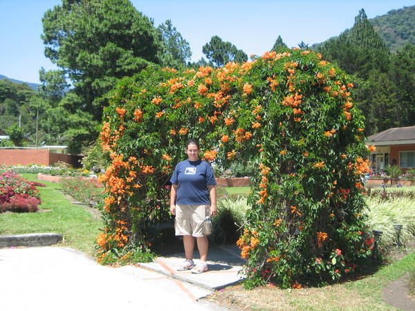 Arch of Flowers