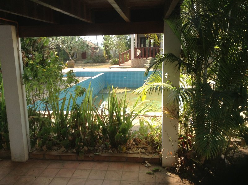 View to garden and pool