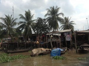 Lower Mekong Delta