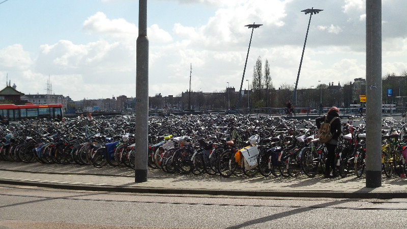 Bikes are popular