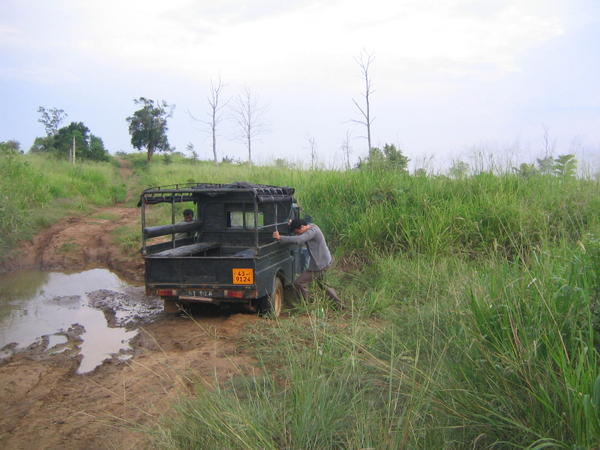 Stuck on safari