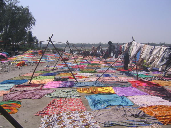 Dhobi Ghat in Agra