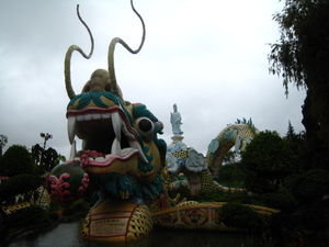 Dragon at Buddha-land