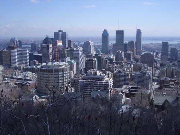 Montréal vu du Mont Royal