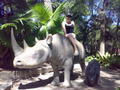 Riding a Rhino...