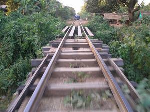 Bamboo train tracks!