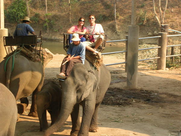 Elephant trek