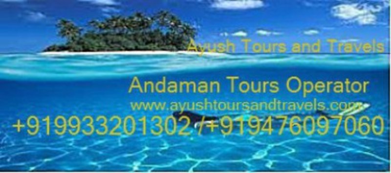 Andaman Ayush Tours &Travels