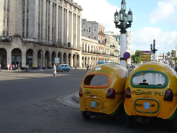 Coco Taxis