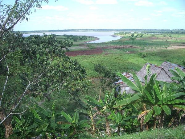 Amazon River view
