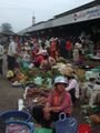 Battambong Central Market