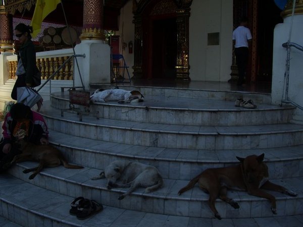 Wat ChiangMan