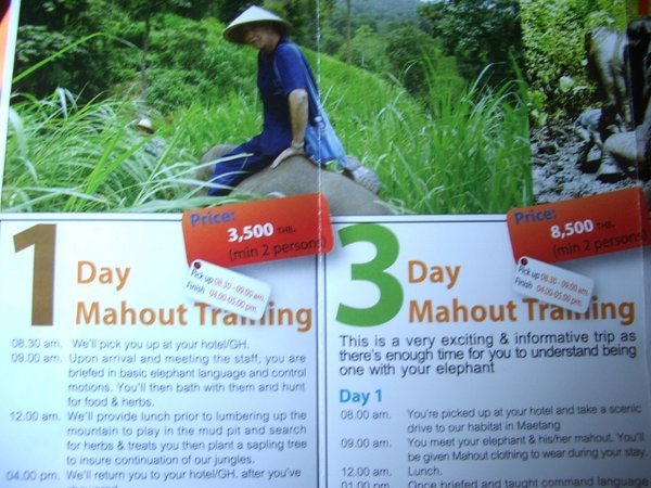 Photo #3: Become a Mahout