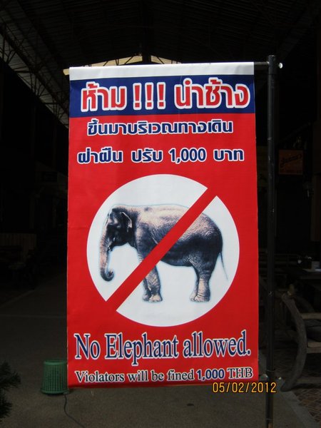 No Elephants!
