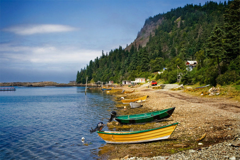 Dories Used to Harvest Dulse