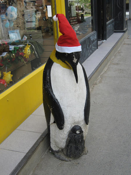 Christmas in Puerto Natales