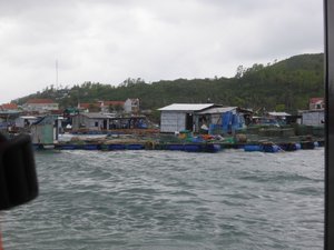 Floating lobster farm