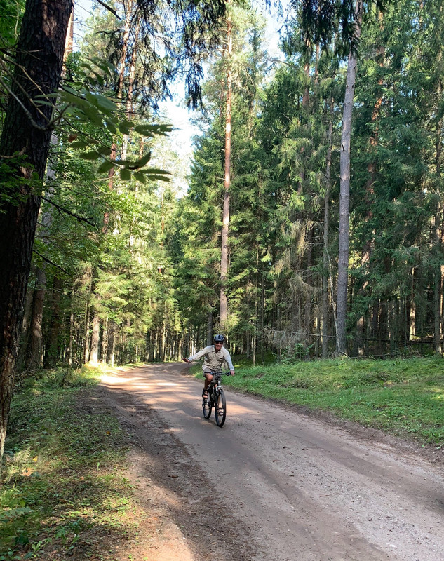 Cycling through the pine forest