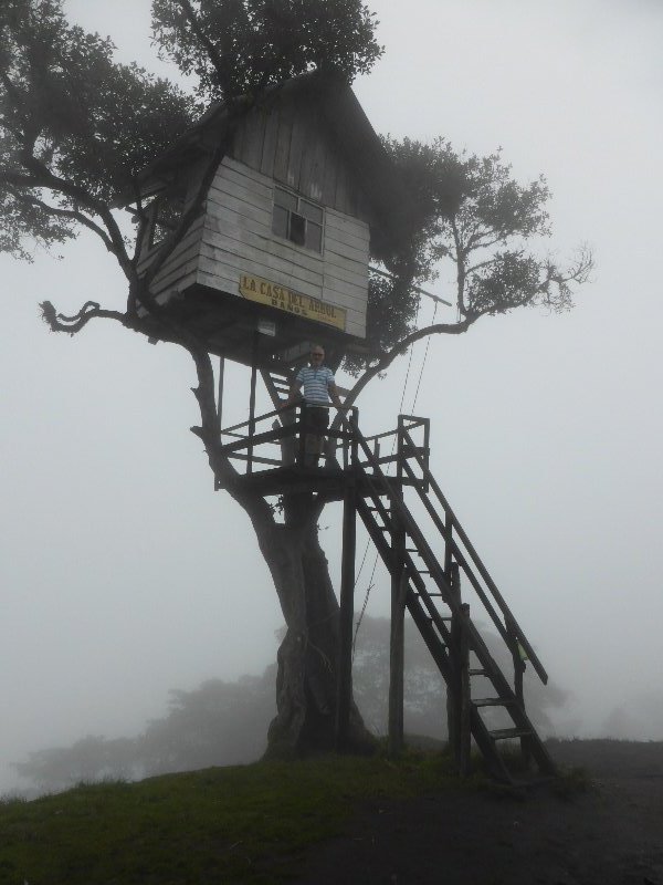 Tree House at the end of walk