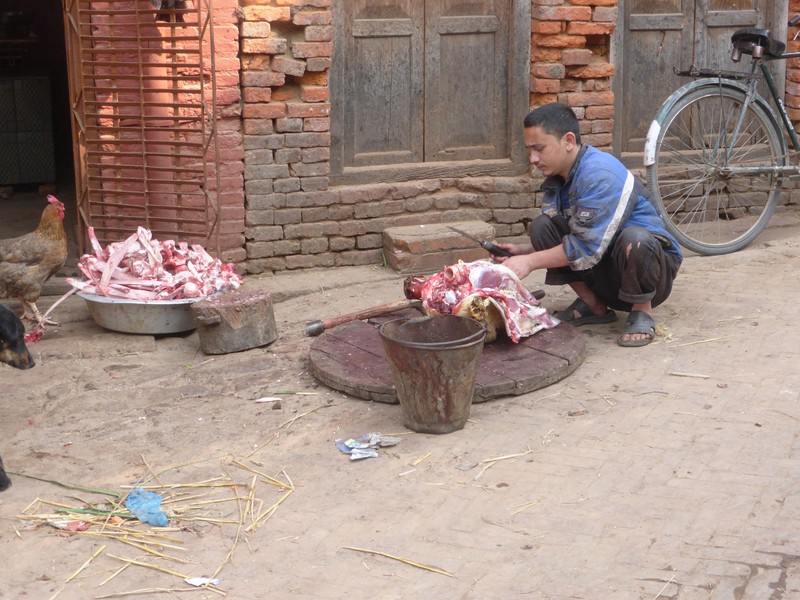 Butcher Bhaktapur