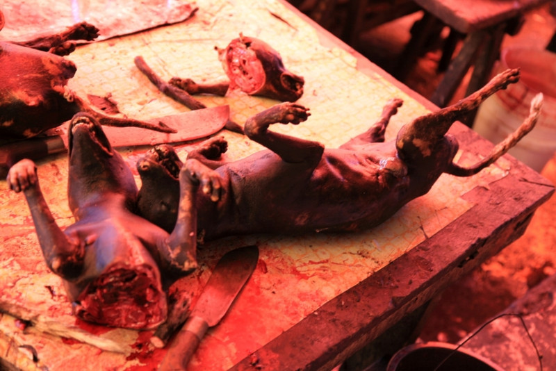 Dog meat in Tomohom market