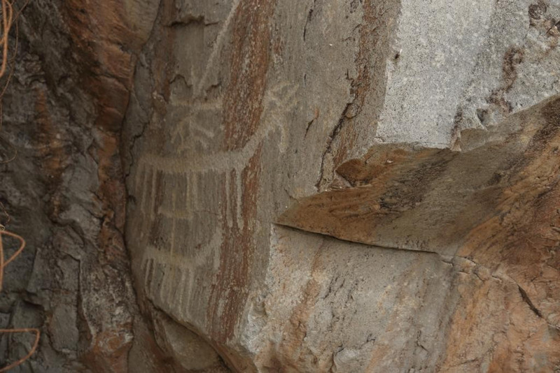 Omani petroglyph