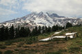 Mt Rainier, snow cover in the high meadows at 7000 ft