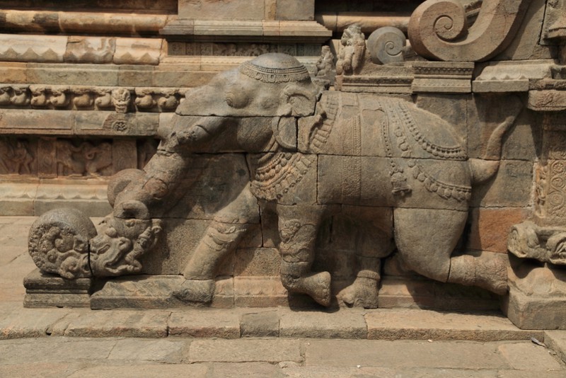 Temple Elephant, 1000 years old